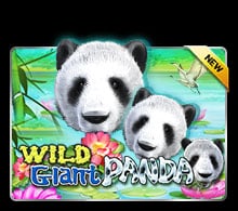 เกม 6